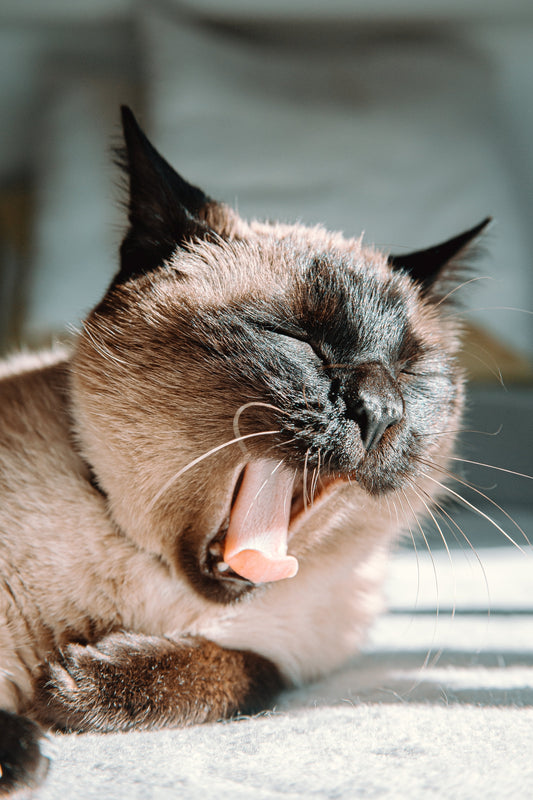 What Your Sleep Routine Says About You