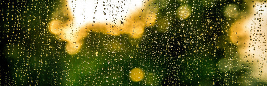 Can’t Sleep? Blame It On The Weatherman - Yogasleep | Love Real Sleep