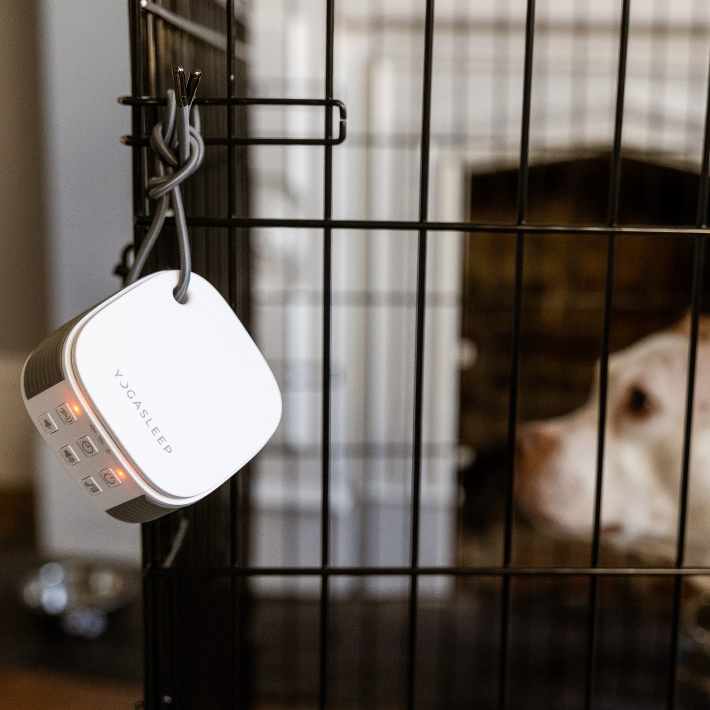 Pawzz Travel Sound Machine