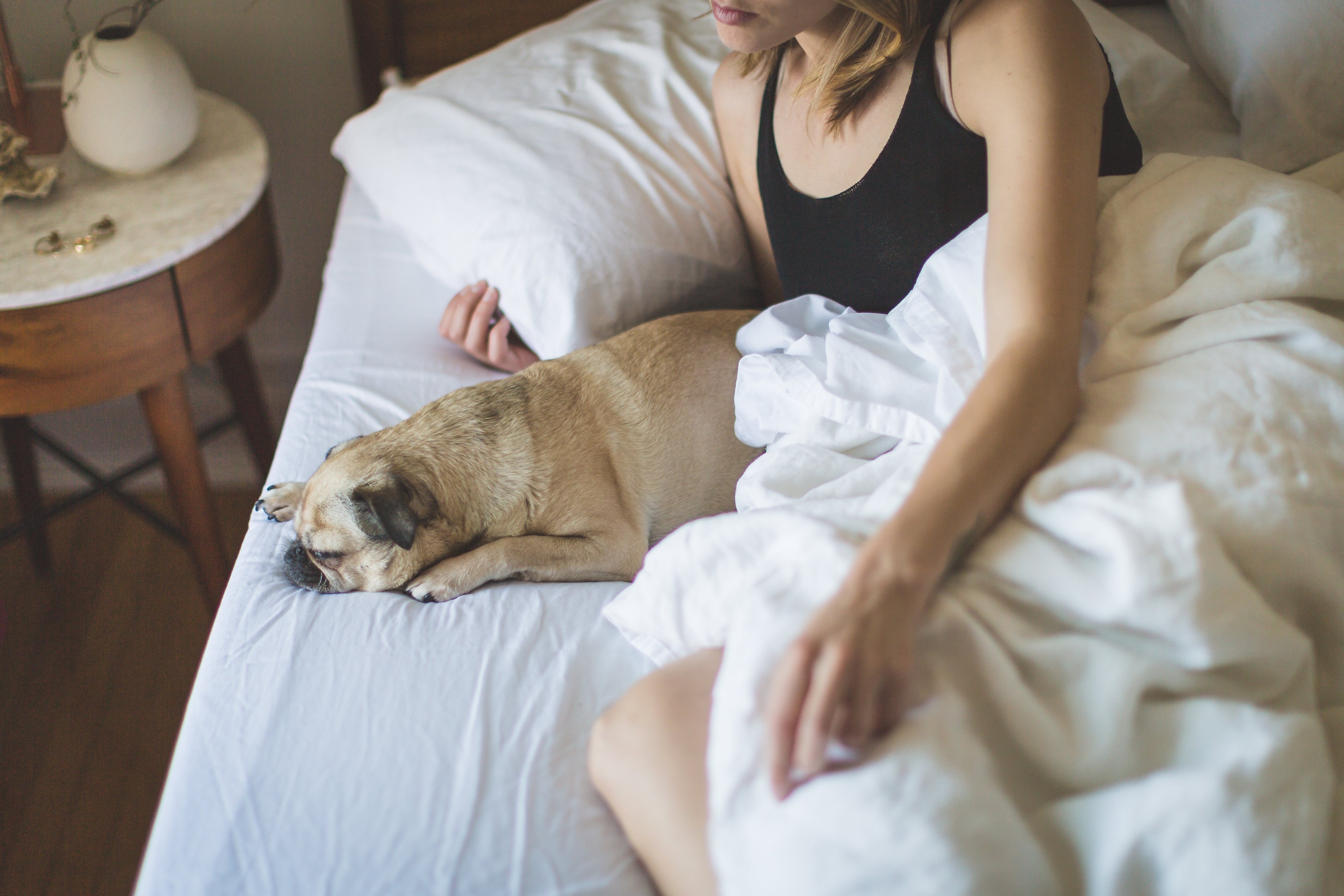 Woman sitting up in bed holding a pillow with a small tan dog lying beside her on white sheets