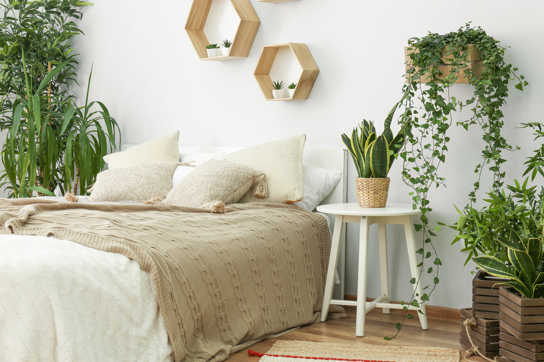 Bright bedroom with a bed, neutral linens and several houseplants (snake plant, potted palms, trailing ivy) arranged to create a calming, sleep-friendly space