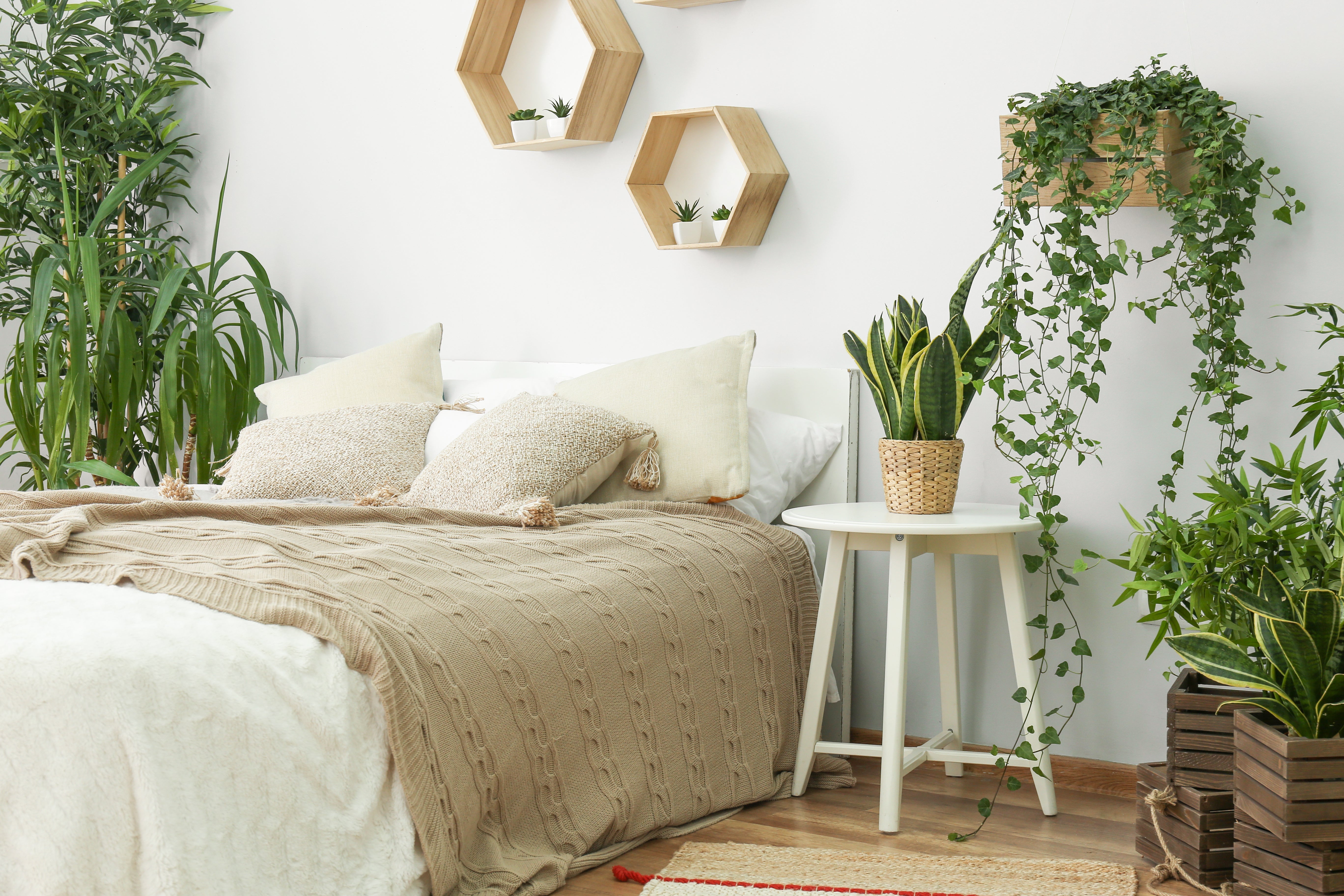 Bright bedroom with a bed, neutral linens and several houseplants (snake plant, potted palms, trailing ivy) arranged to create a calming, sleep-friendly space