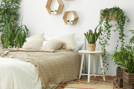 Enhance Your Bedroom Oasis: Best Houseplants for a Serene Sleep Space