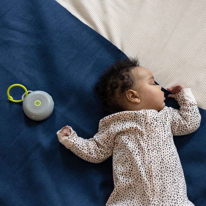 Hushh + Travel Case Bundle