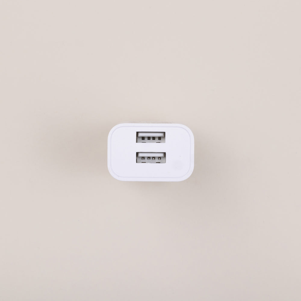 Top-down view of USB power adapter showing two USB-A ports on a neutral beige background