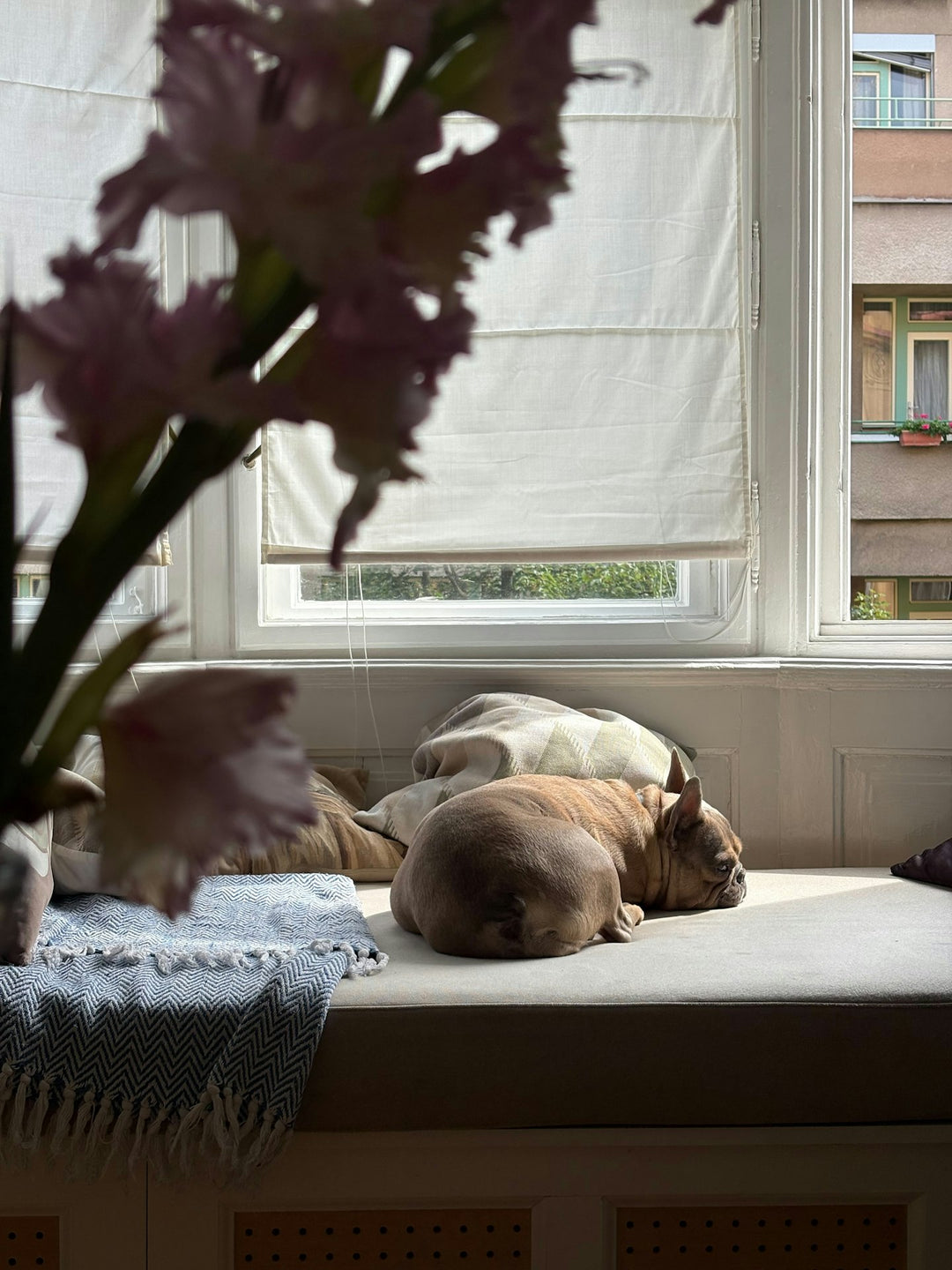 A dog sleeping on a bed