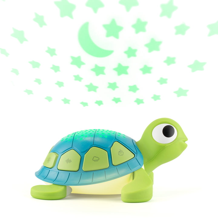 A cartoon tortoise with stars above it and white background